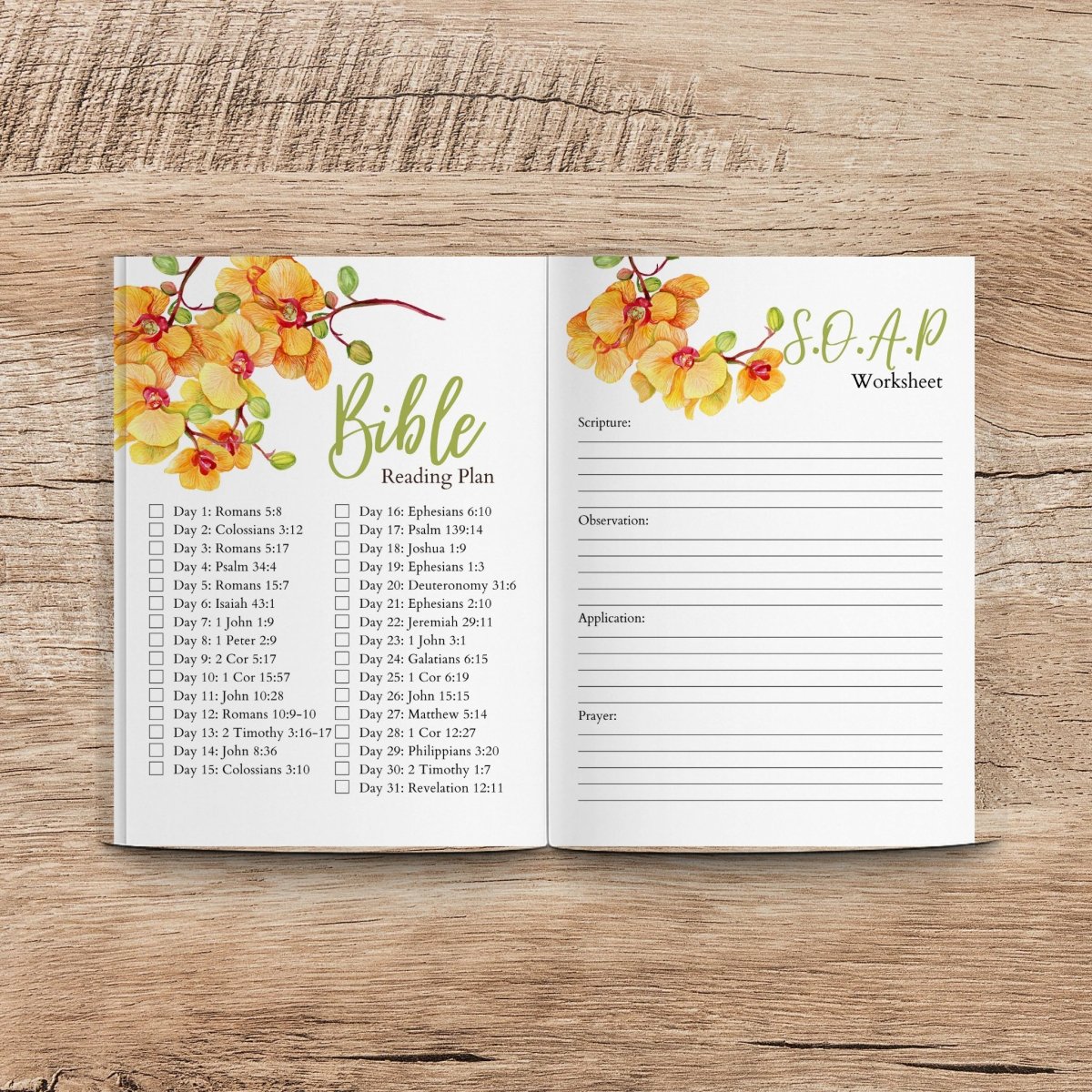 interior of my identity in Christ prayer journal