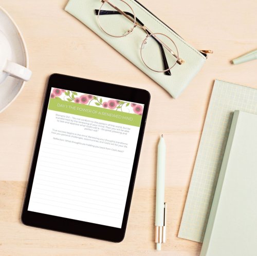 Renewing Your Mind for Success: Devotional Journal