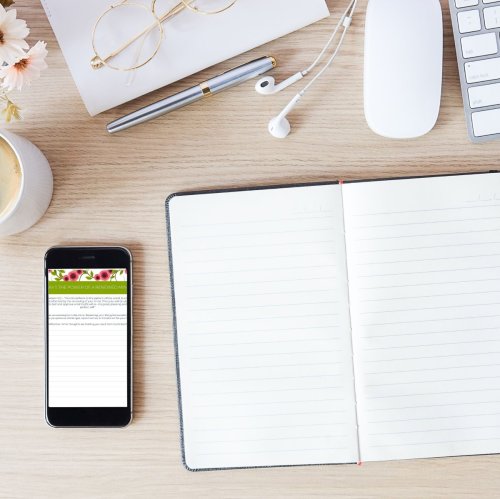 Renewing Your Mind for Success: Devotional Journal