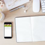 Renewing Your Mind for Success: Devotional Journal